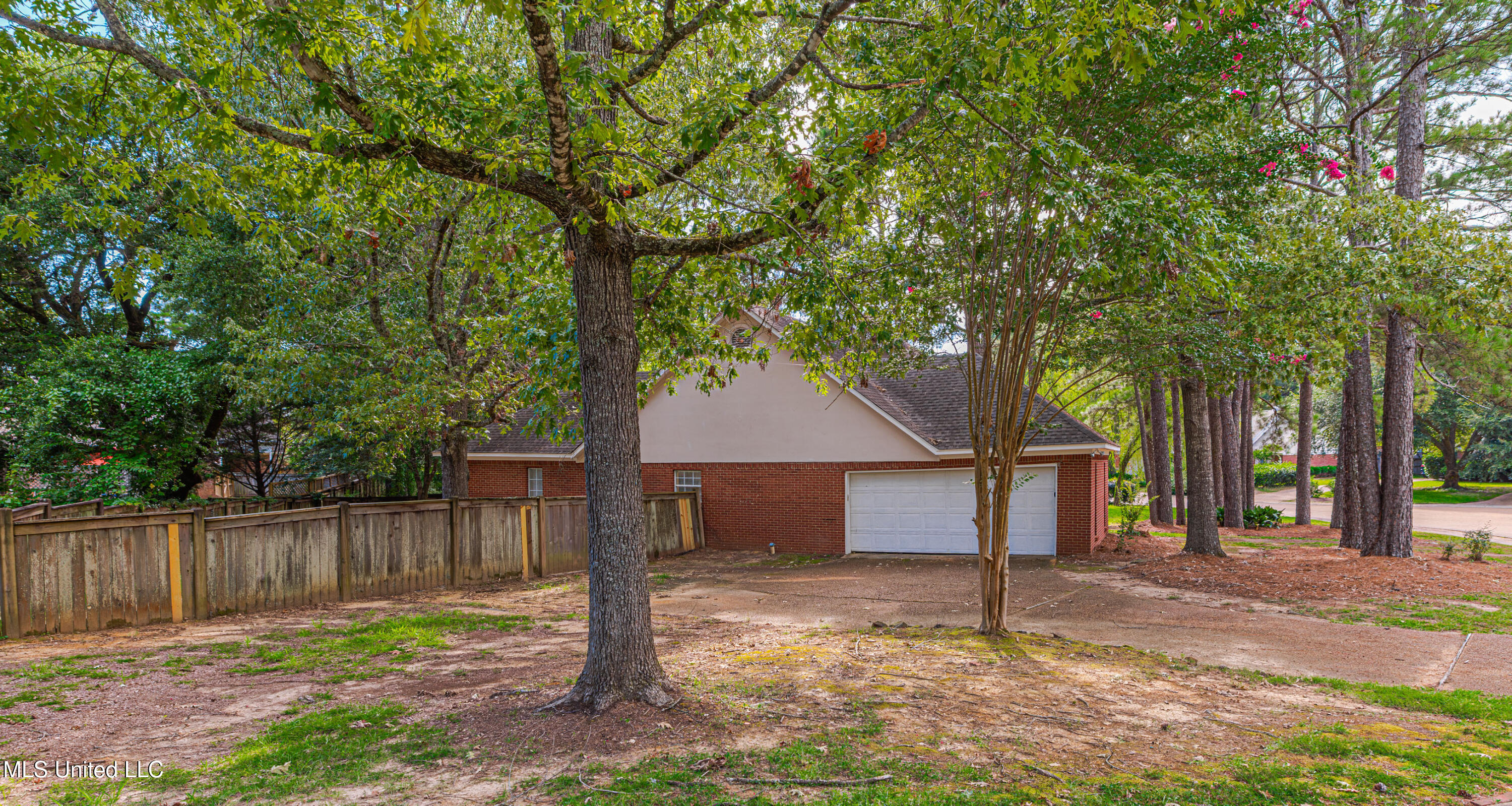421 Violet Drive Madison, MS 39110 - Photo 4 of 37 1R4A2078
