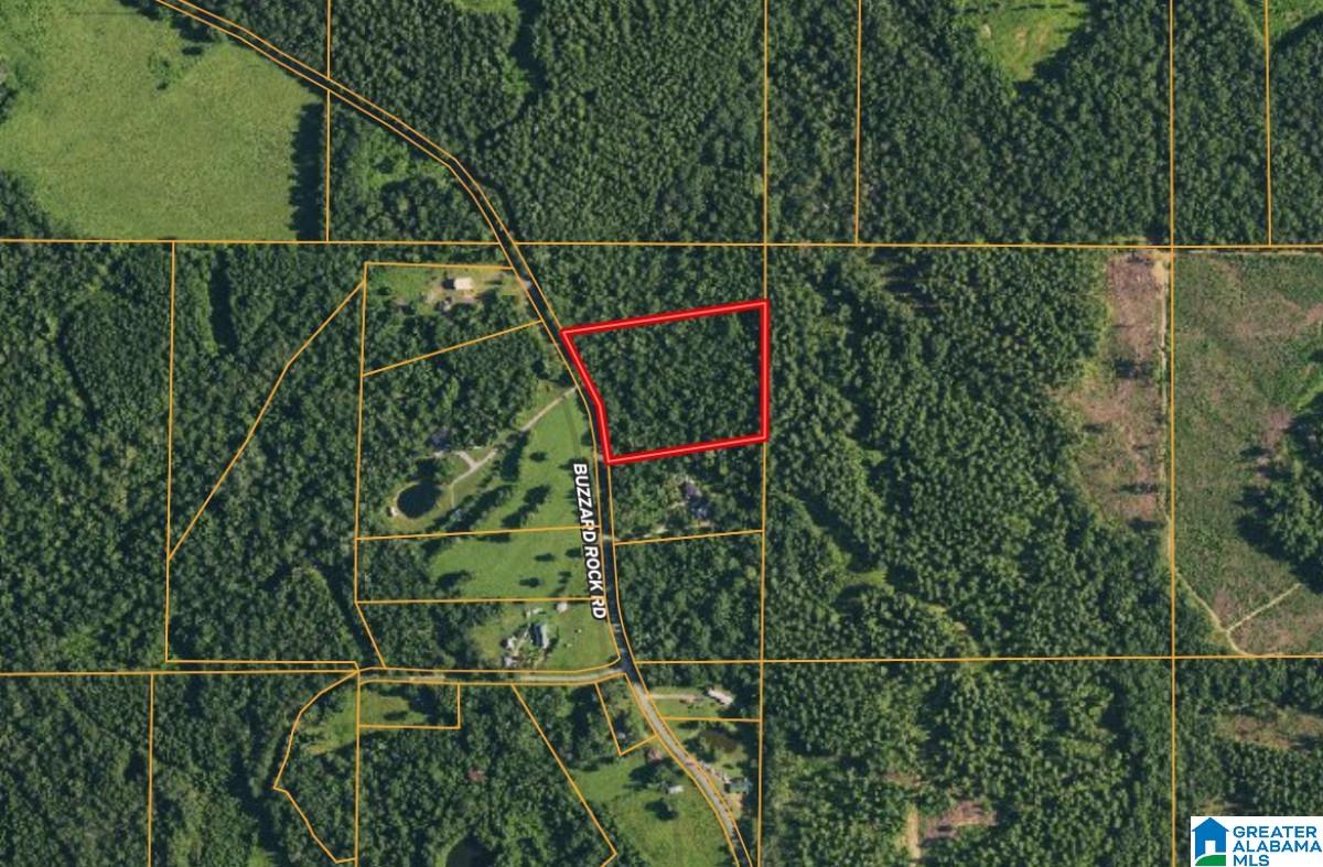 Dee Nix Road Altoona, AL 35952 - Photo 3 of 5 Gallery Image 3