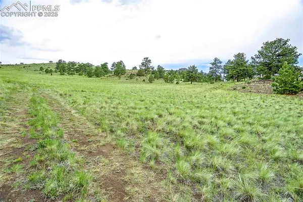 $810,000 | 10 County Road 102, Guffey, CO 80820