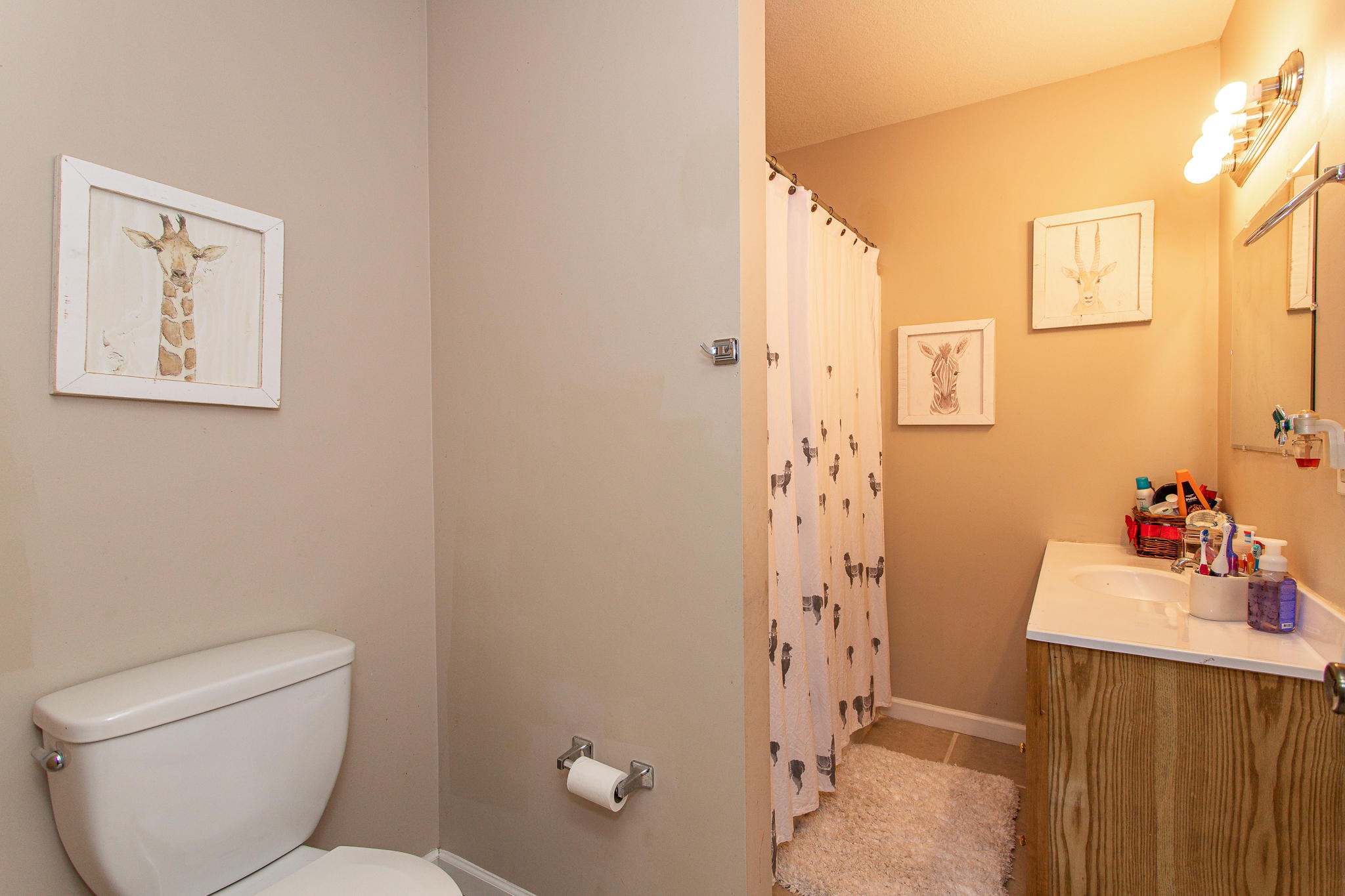 830 Collins Road Blaine, TN 37709 - Photo 22 of 34 a bathroom with a sink toilet and shower