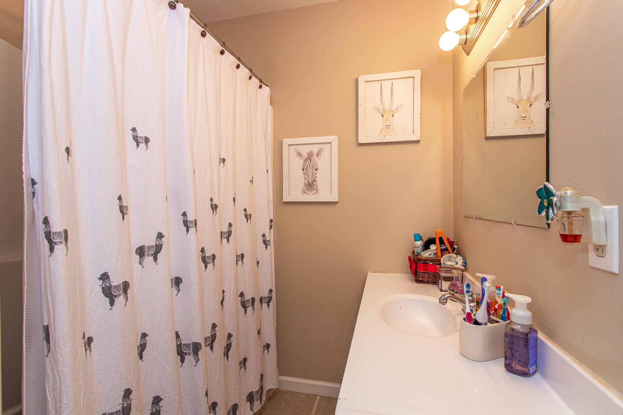 830 Collins Road Blaine, TN 37709 - Photo 23 of 34 a view of storage and utility room
