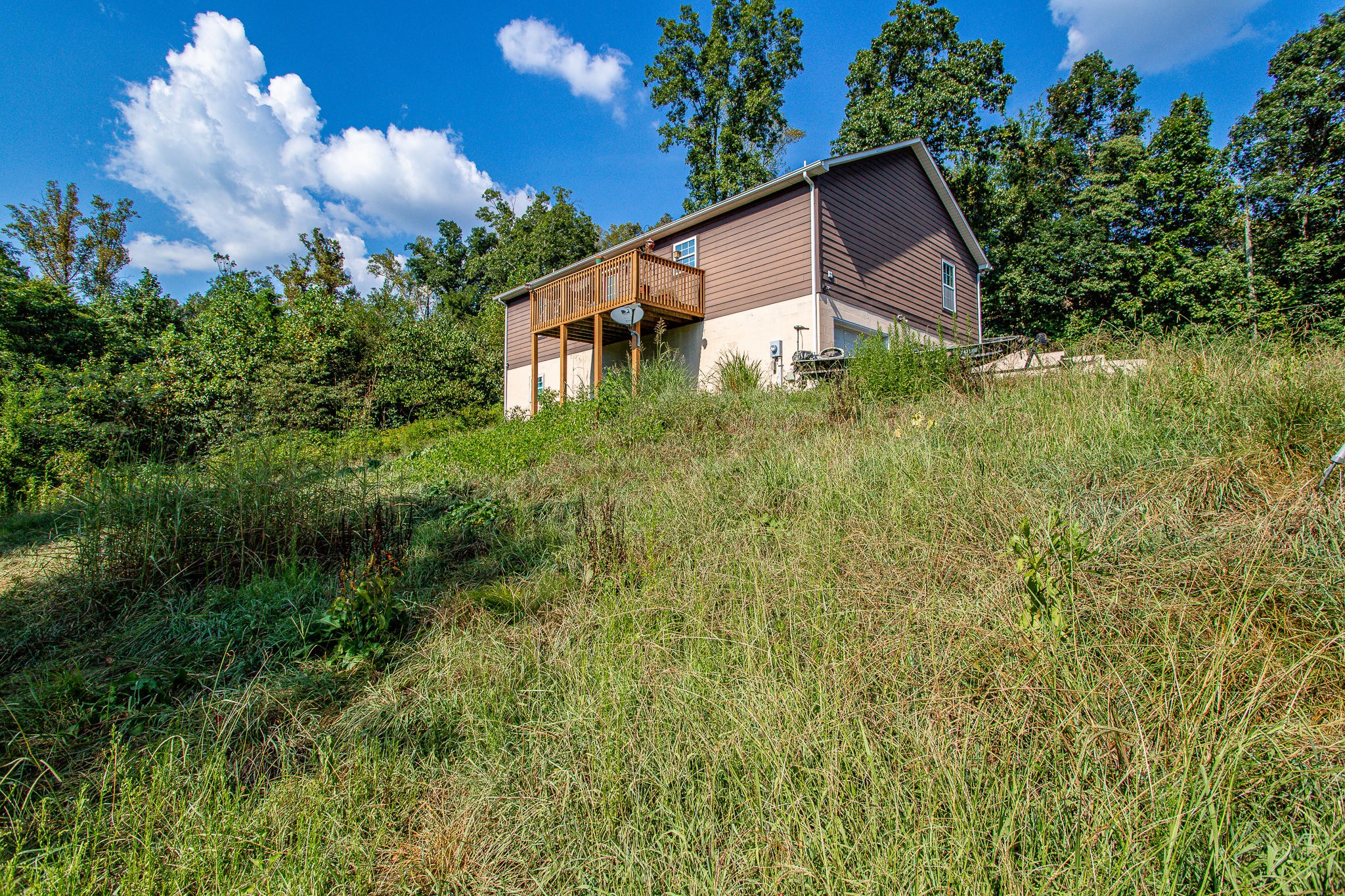 830 Collins Road Blaine, TN 37709 - Photo 30 of 34 a backyard of a house with lots of green space
