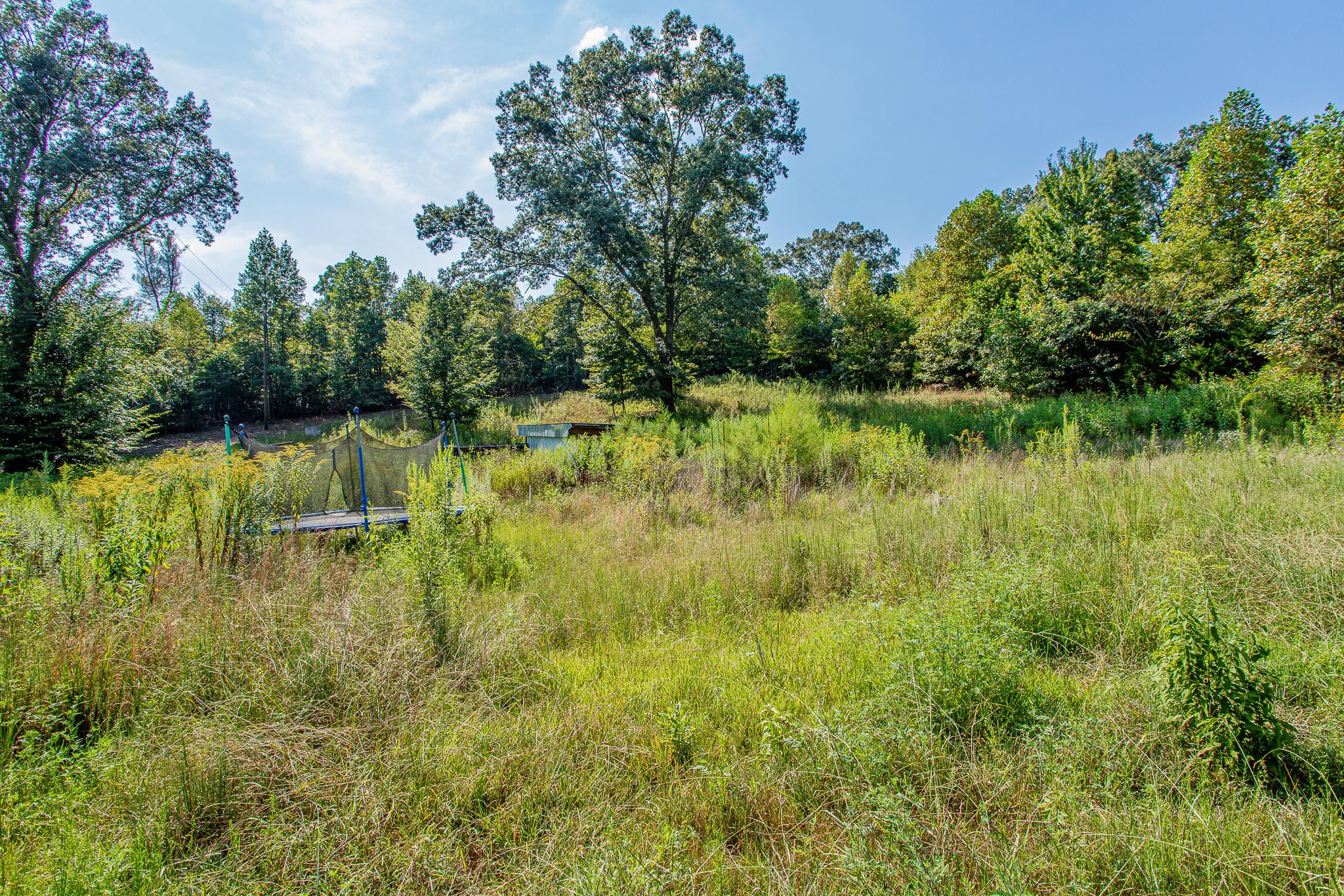 830 Collins Road Blaine, TN 37709 - Photo 32 of 34 a view of a lake view with a garden