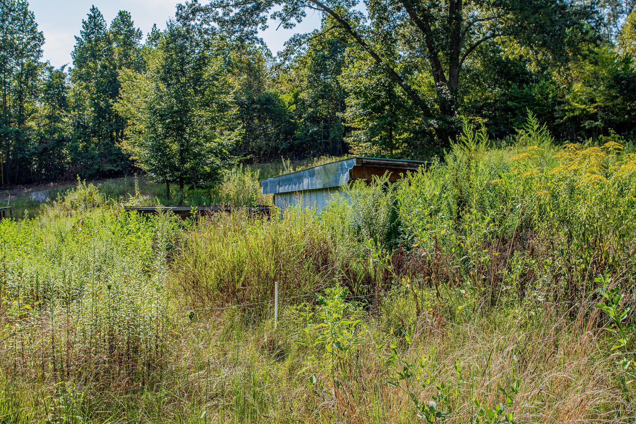 830 Collins Road Blaine, TN 37709 - Photo 33 of 34 a view of a garden
