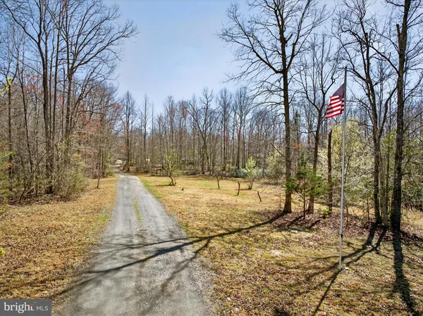 a view of outdoor space yard and trees