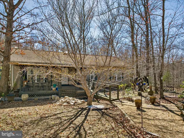 a view of a yard with plants and trees