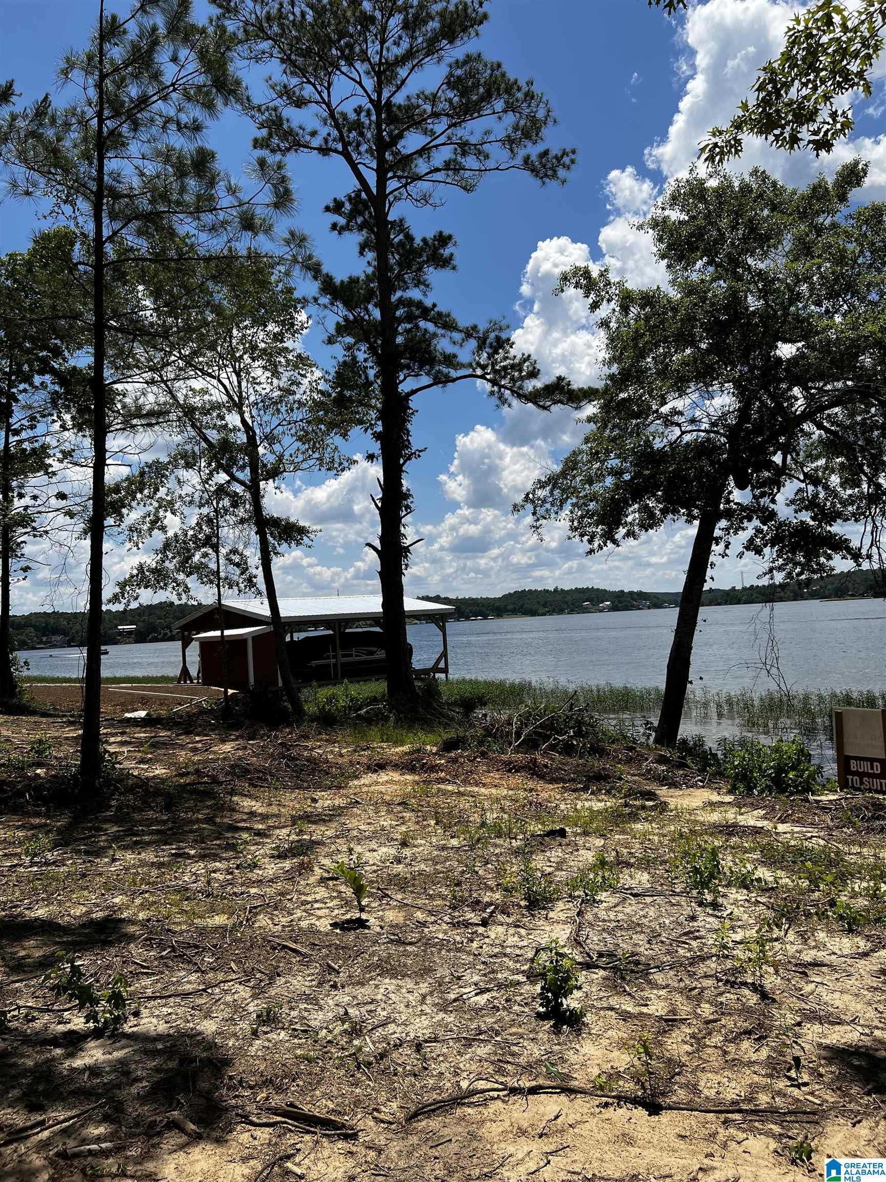 0 Daybreak Curve, Unit 5 Rockford, AL 35136 - Photo 10 of 10