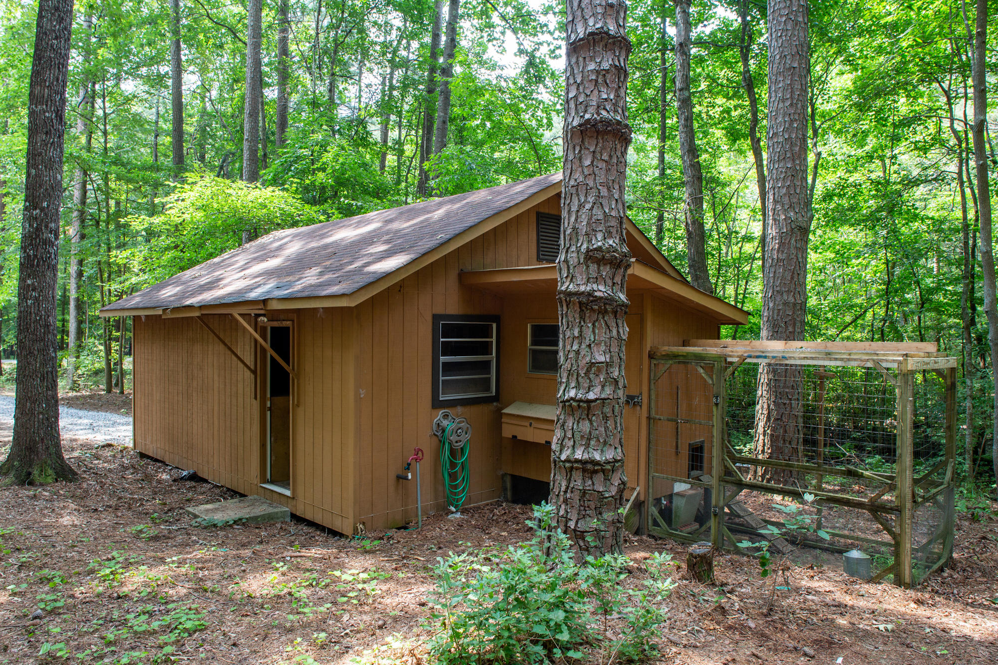 1162 Poplar Springs Road Trenton, GA 30752 - Photo 28 of 36 20210803_1162PoplarSprings__HoltWebb_023
