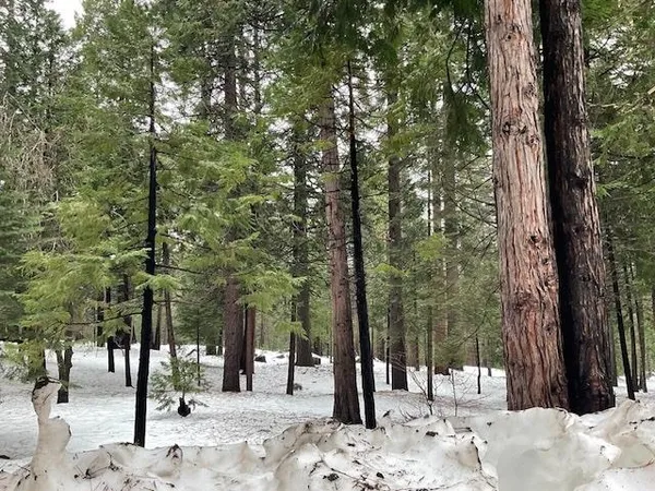 $39,000 | 3065 Apache Road, Arnold, CA 95223