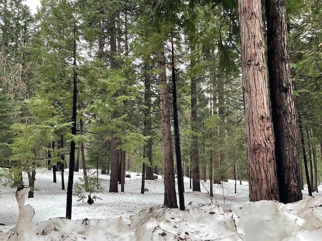 3065 Apache Road Arnold, CA 95223 - Photo 1 of 5