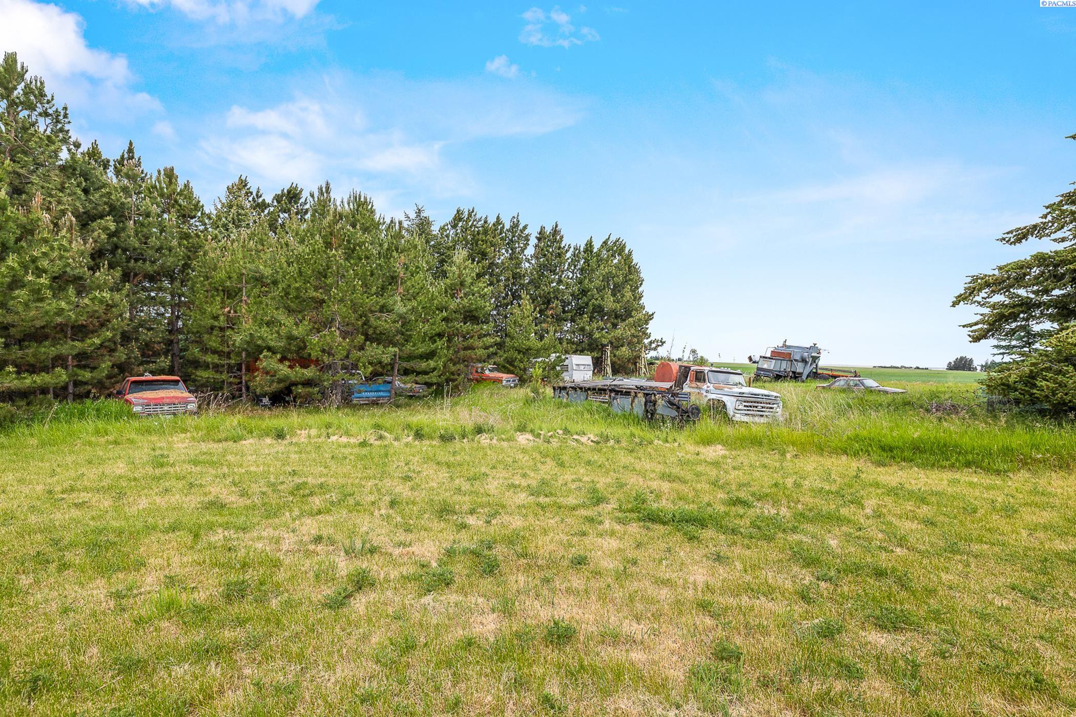 604 Mountain Road Pomeroy, WA 99347 - Photo 22 of 39 Gallery Image 22