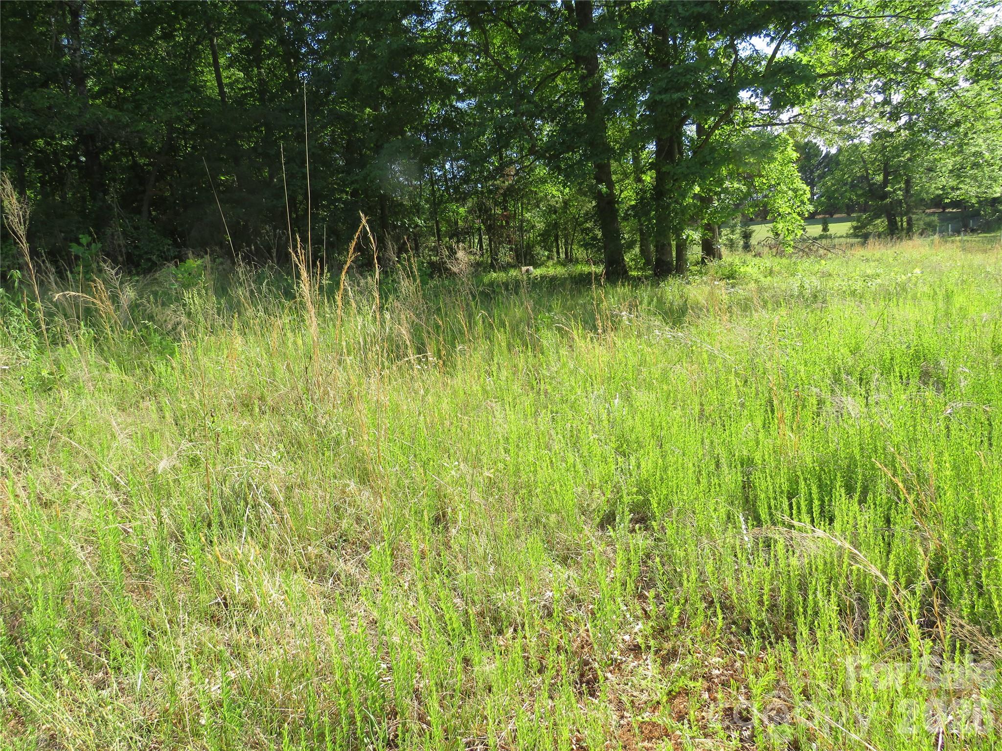 0 Blue Sapphire Lane Rutherfordton, NC 28139 - Photo 19 of 25