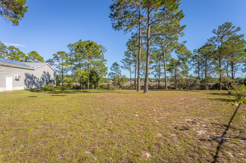 559 River Road Carrabelle, FL 32322 - Photo 54 of 60 Gallery Image 54