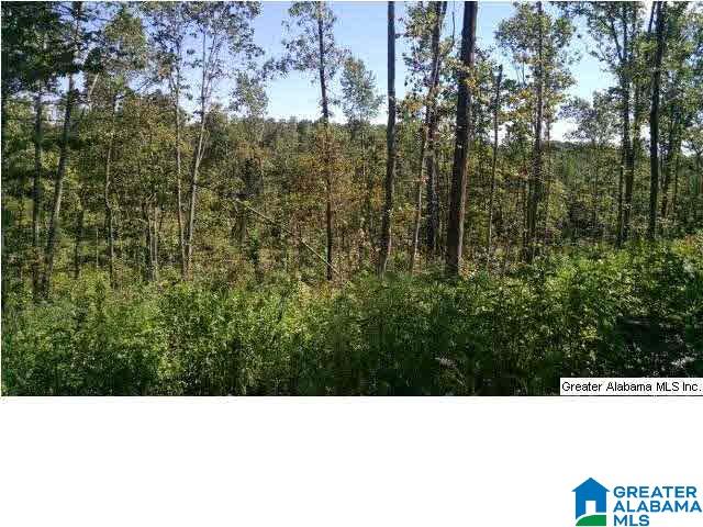 0 Beaver Ridge Drive, Unit 42 48 Ashville, AL 35953 - Photo 15 of 26