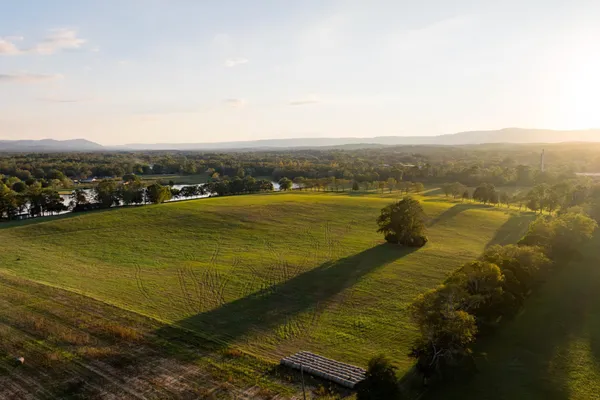 a view of a house with a yard plants and large tree