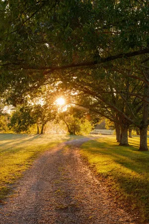 a outdoor living space with furniture
