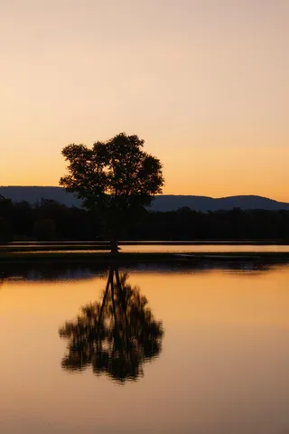 a view of a lake with a mountain in the background