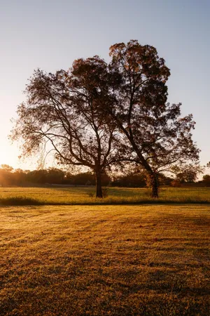 $8,700,000 | 130 Krystal Drive, Chickamauga, GA 30707