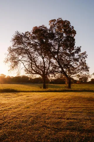 $8,700,000 | 130 Krystal Drive, Chickamauga, GA 30707