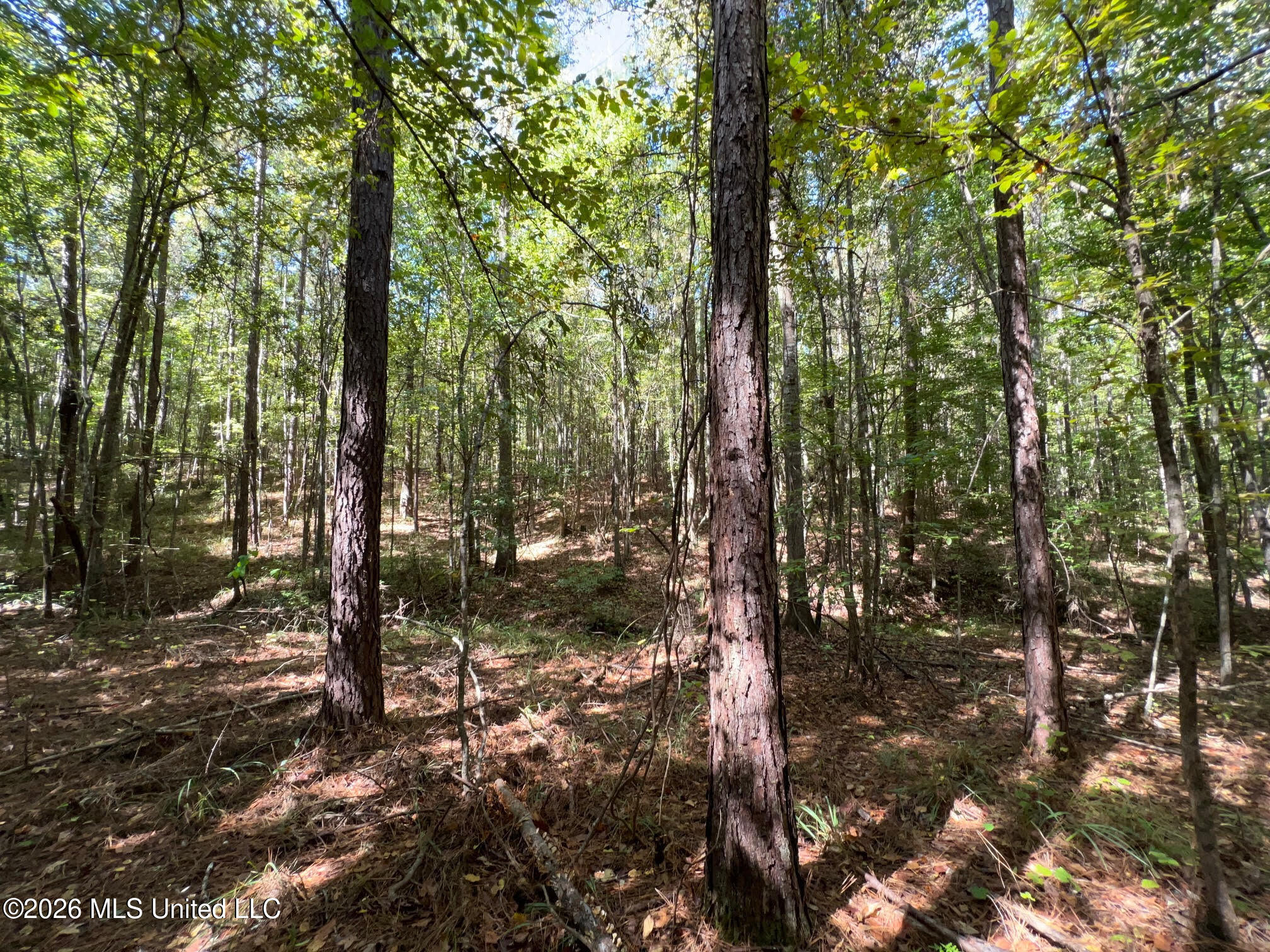 84 Highway 84 Roxie, MS 39661 - Photo 14 of 33 17