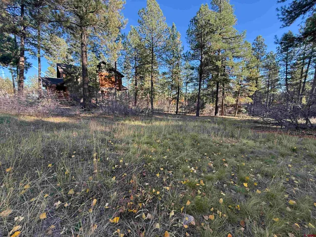 a view of a yard with a tree