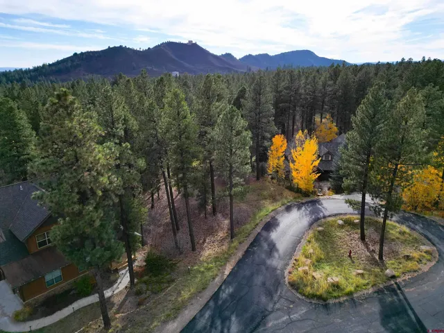 a view of a lush green field with mountains in the background