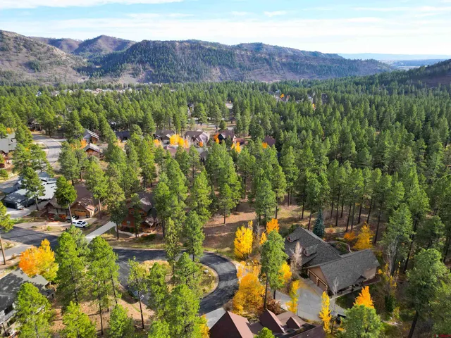 a view of a lush green house with a yard