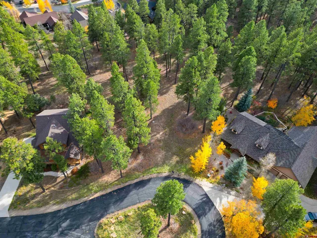 an aerial view of residential houses with outdoor space and trees