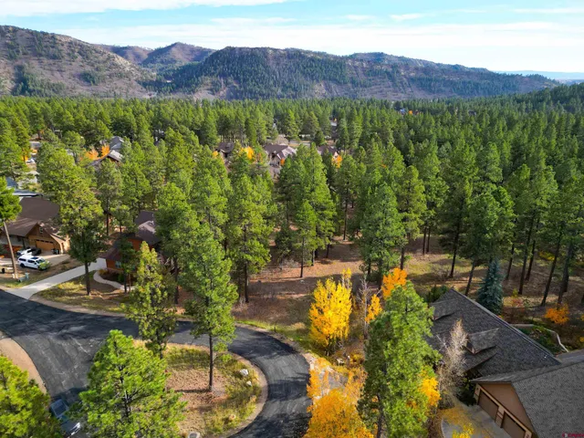 a view of a house with a garden