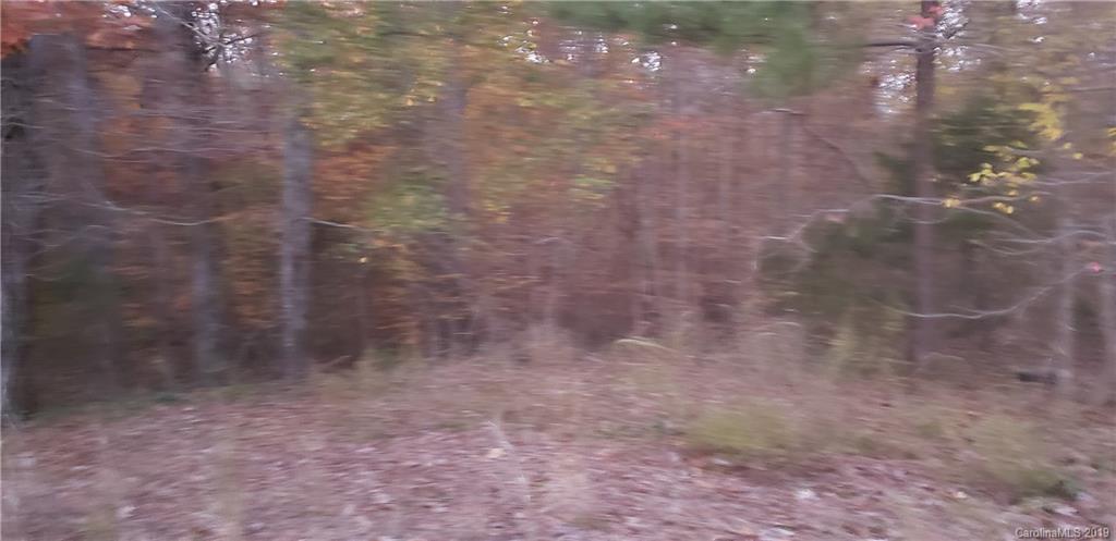 1708 Madison Road Chester, SC 29706 - Photo 2 of 8