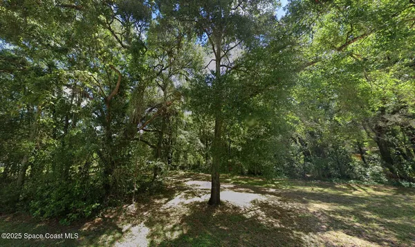 a view of a forest with trees