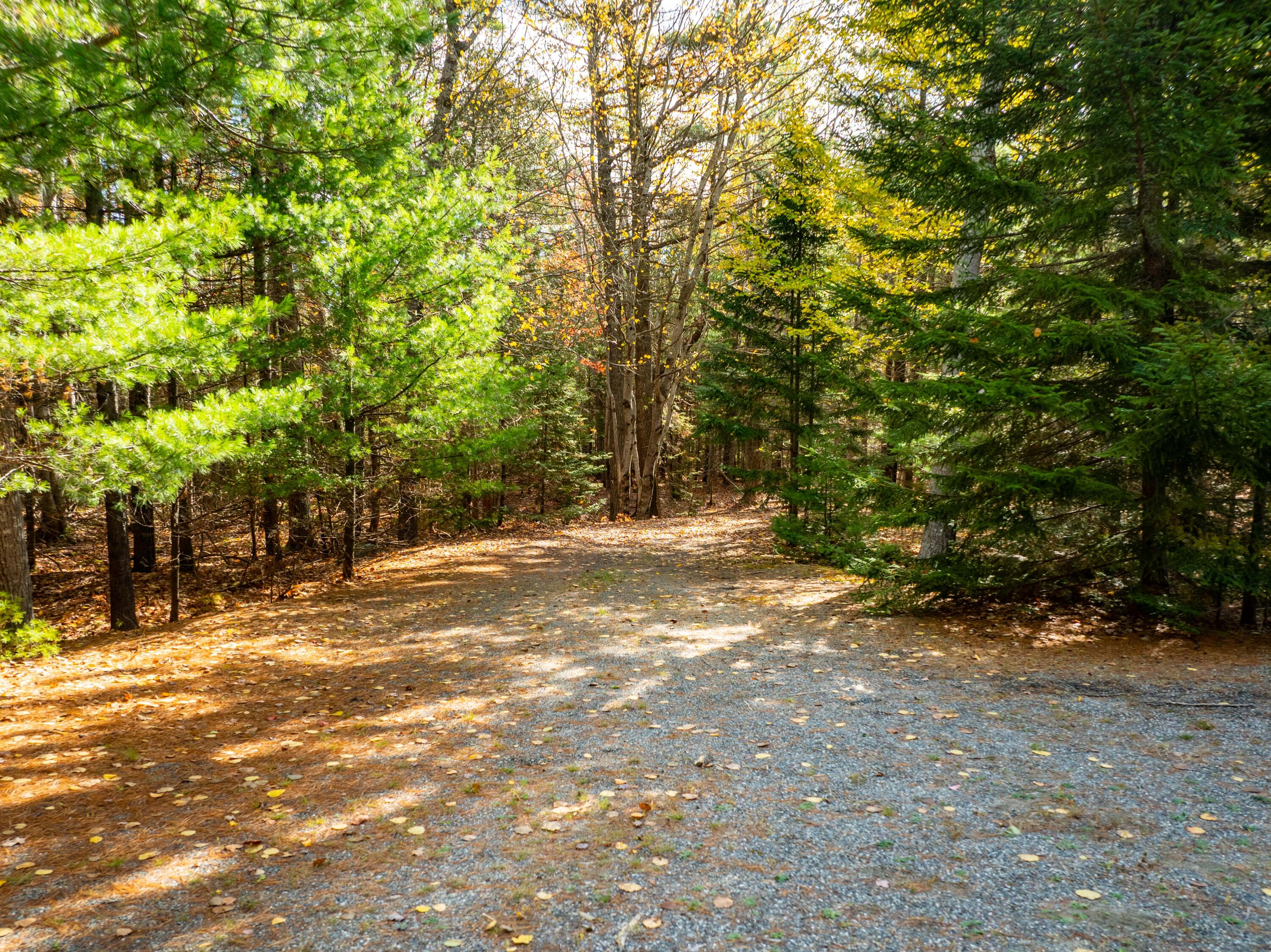 12 Hall Quarry Road Mount Desert, ME 04660 - Photo 41 of 48 12 Hall Quarry- Drive and parking by gar
