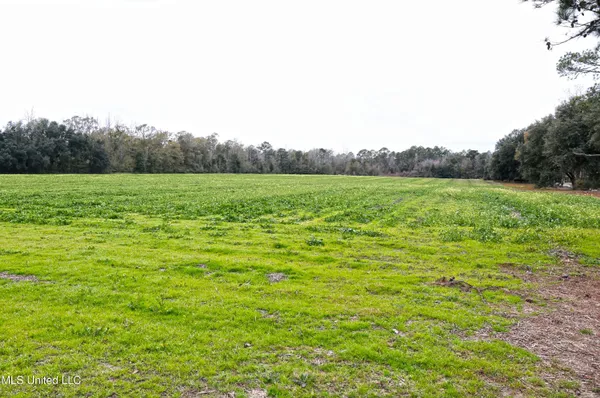 $239,500 | 0 Ramie Farm Road, Lucedale, MS 39452