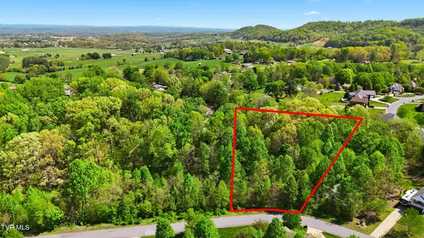 $40,000 | 284 Holland View Drive, Unit 41, Jonesborough, TN 37659