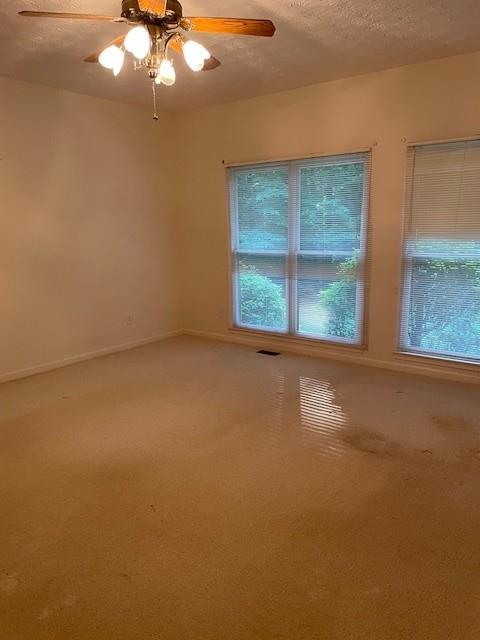 629 Camp Branch Road Ellijay, GA 30540 - Photo 15 of 22 Gallery Image 15