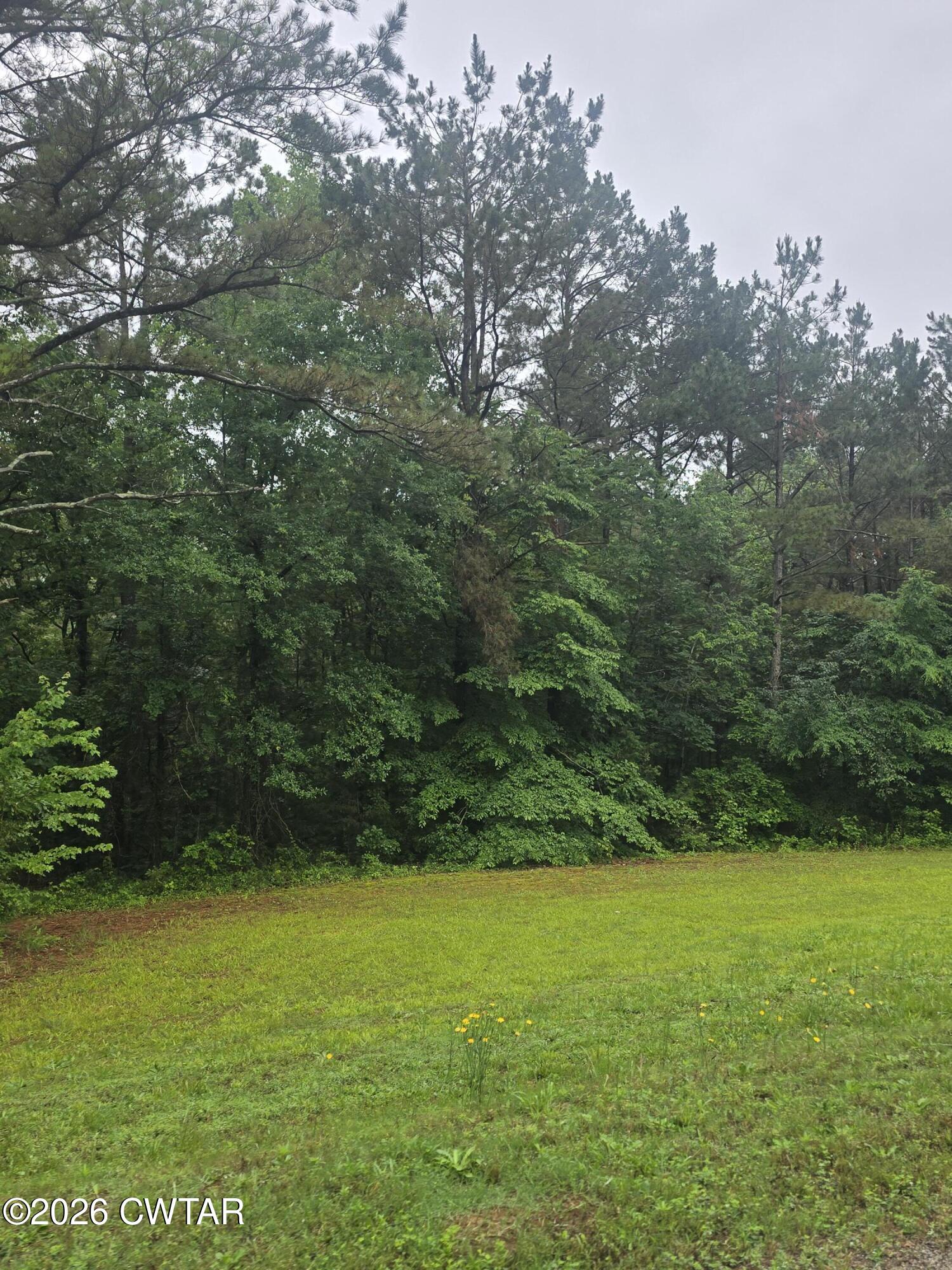 2580 Knuckles Road Henderson, TN 38340 - Photo 11 of 11 20260526_103737
