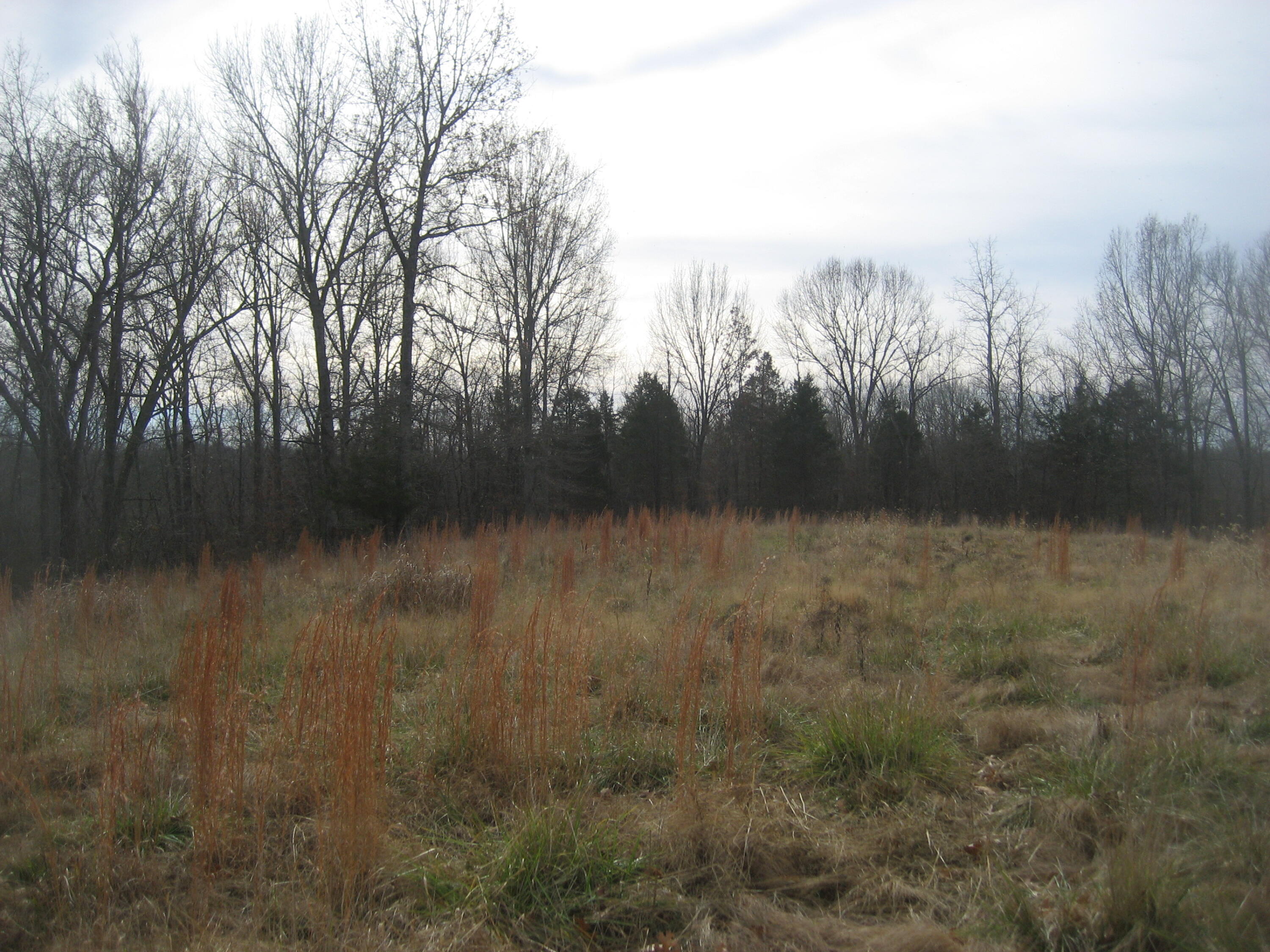 1234 Prather Ridge Road Willisburg, KY 40078 - Photo 7 of 16 IMG_0366