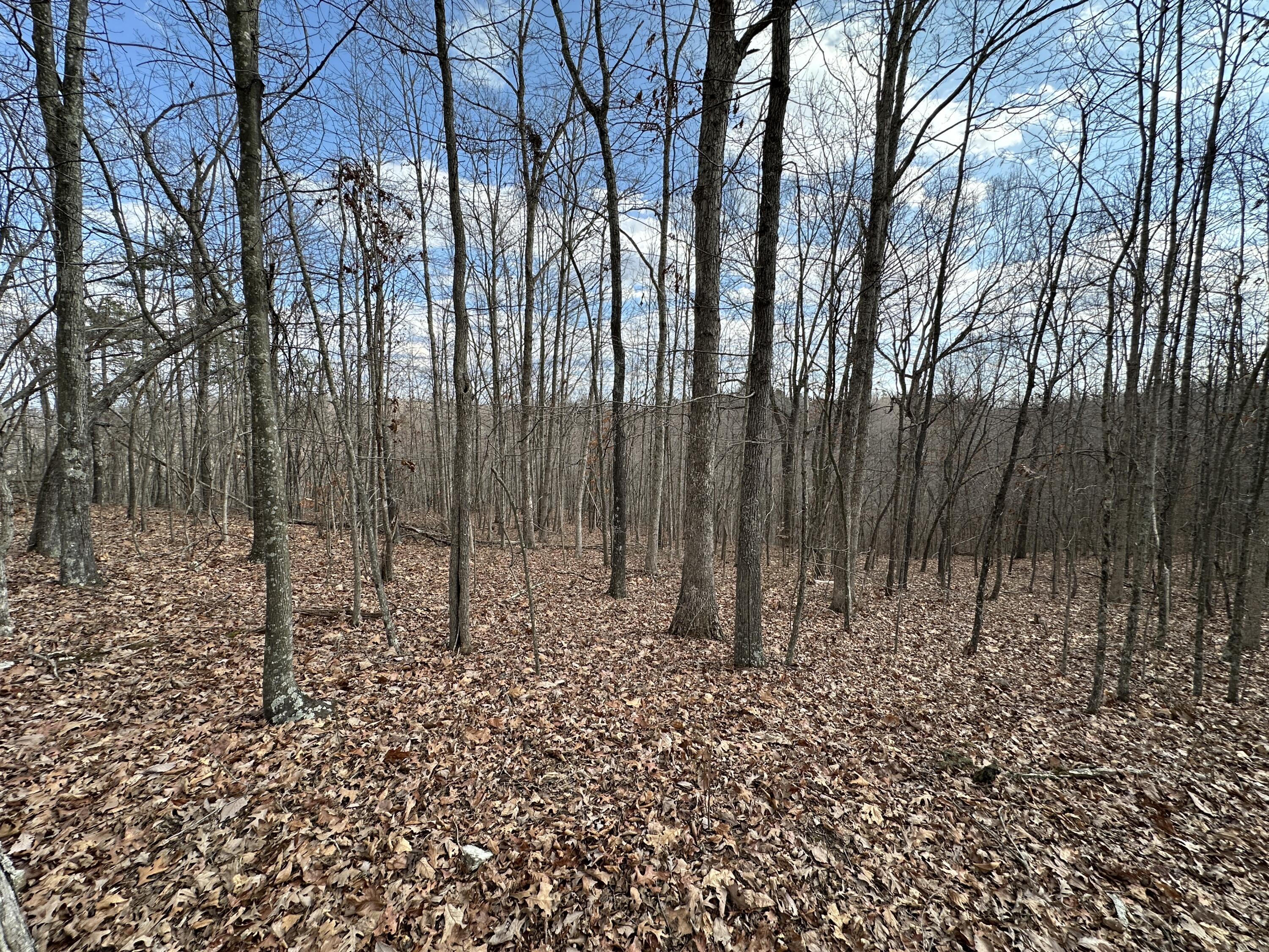 11 Williams Creek Road Rush, KY 41168 - Photo 35 of 42 34