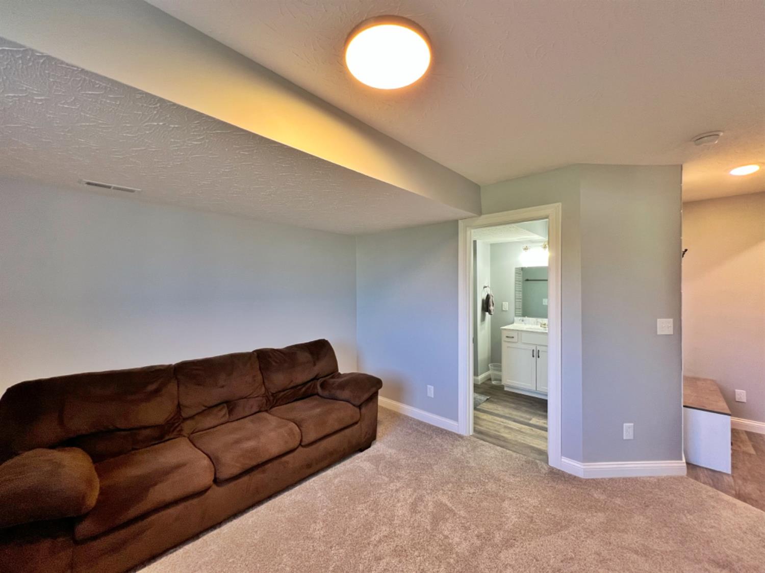 171 South Ridge Lane Versailles, IN 47042 - Photo 69 of 72 LOWER LEVEL FAMILY ROOM WITH A FULL BATH