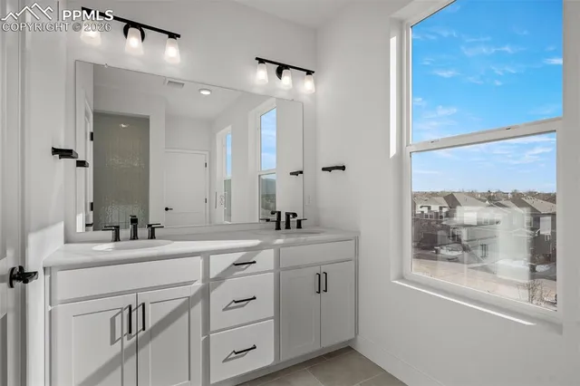 a bathroom with a double vanity sink a mirror and a shower