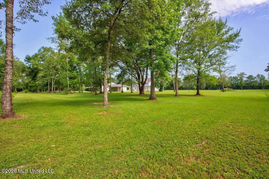 11185 Bud Lee Road Picayune, MS 39466 - Photo 89 of 111 11185BudLeeRd-114