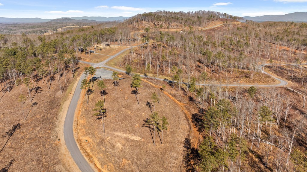 Lot 293 Twisted Oak Road Talking Rock, GA 30175 - Photo 7 of 46 Gallery Image 7