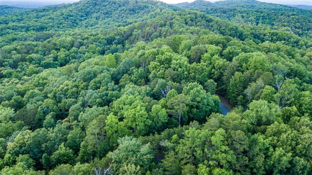 98 Adair Drive Ranger, GA 30734 - Photo 1 of 1