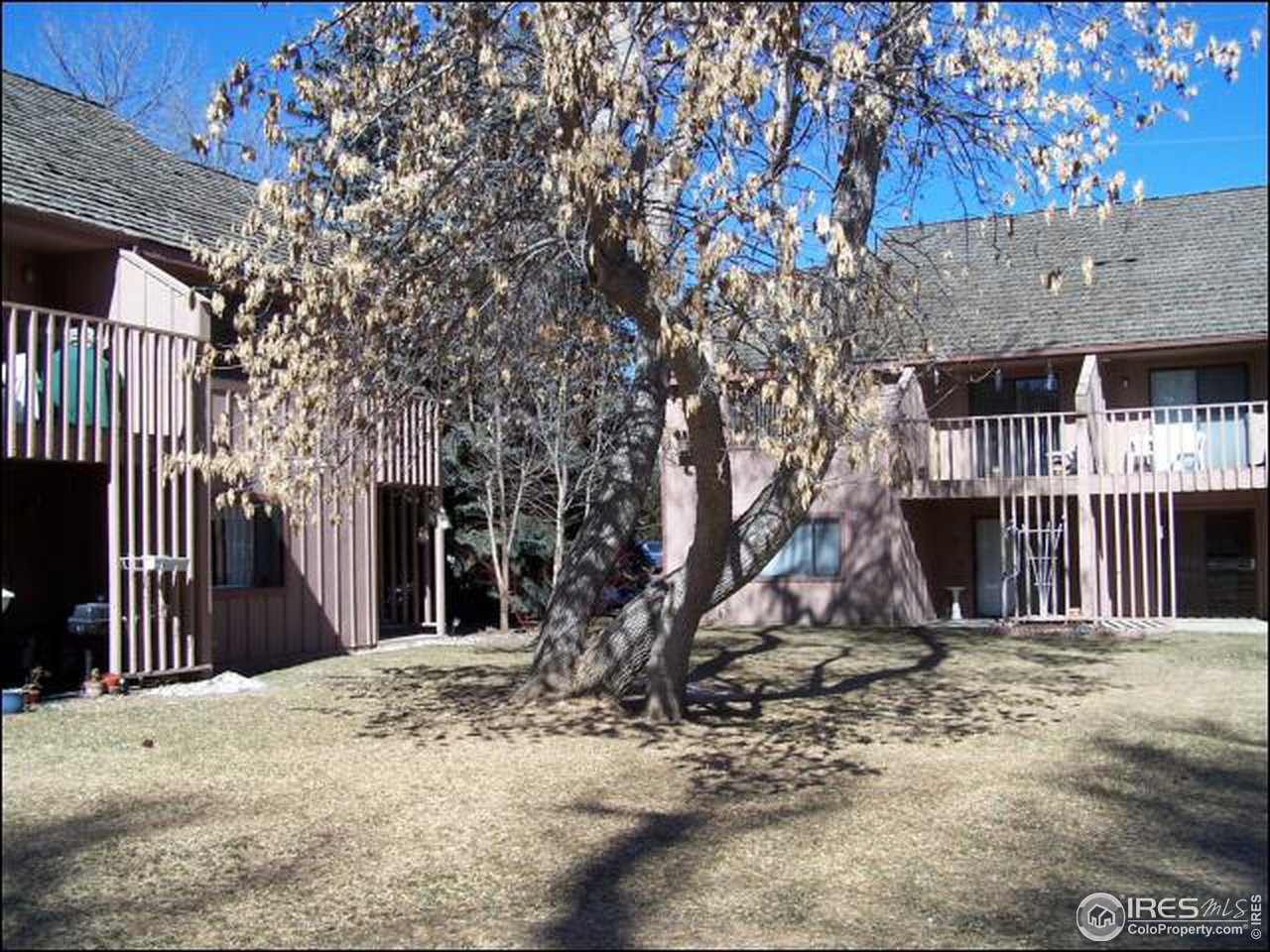 705 East Drake Road, Unit 11 Fort Collins, CO 80525 - Photo 2 of 11 Gallery Image 2