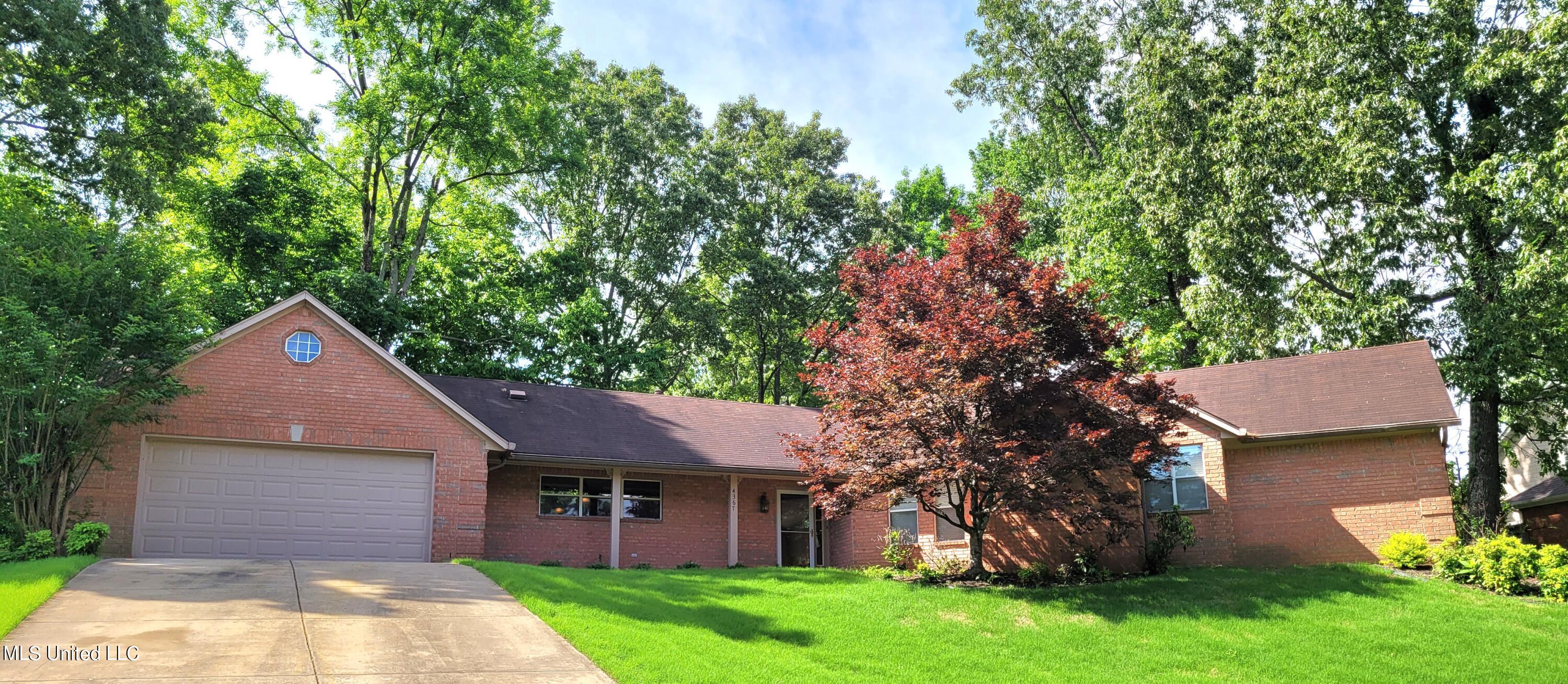 4367 Star Landing Road Nesbit, MS 38651 - Photo 1 of 40 20240501_101209