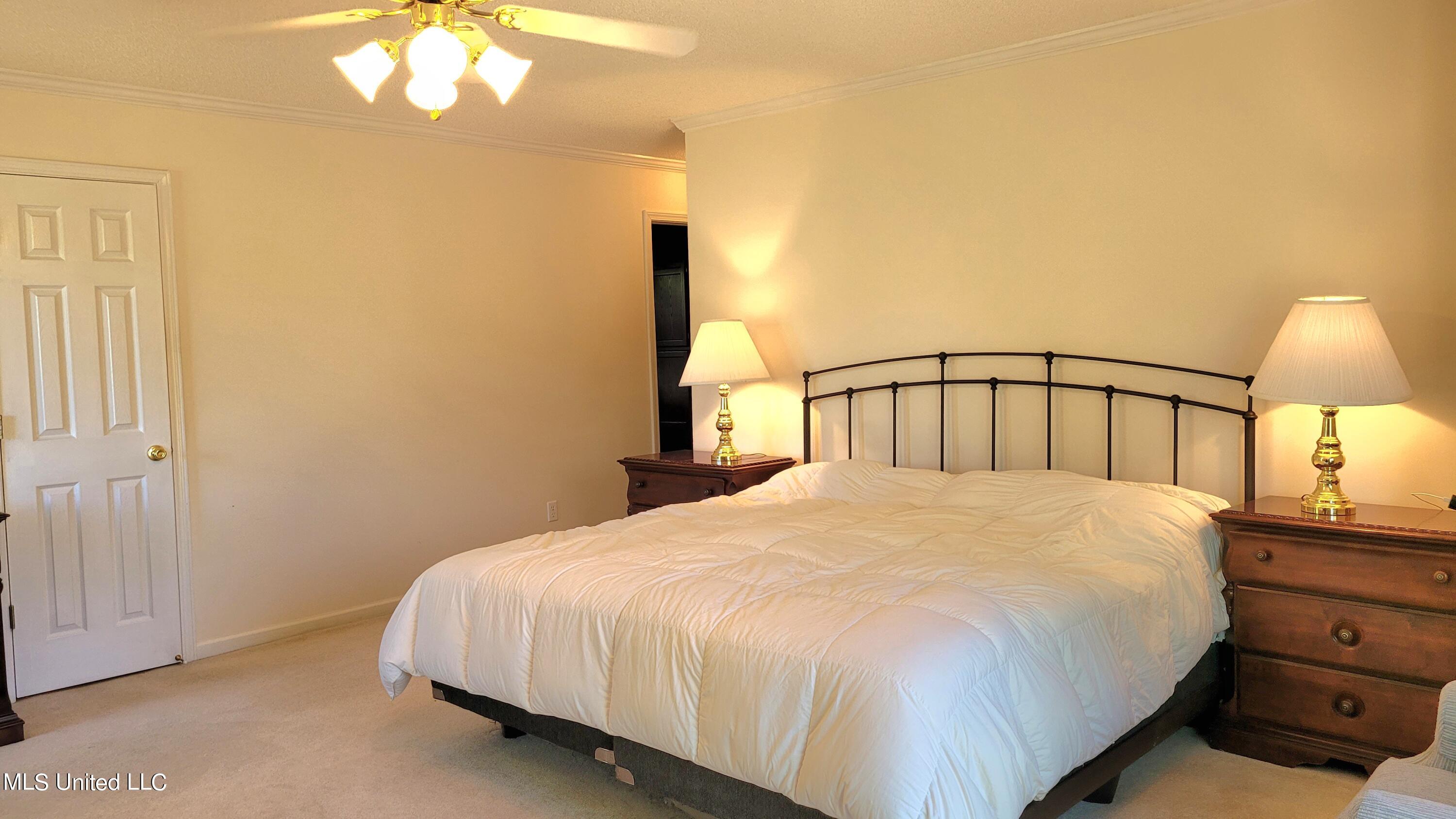 4367 Star Landing Road Nesbit, MS 38651 - Photo 19 of 40 20240412_102427