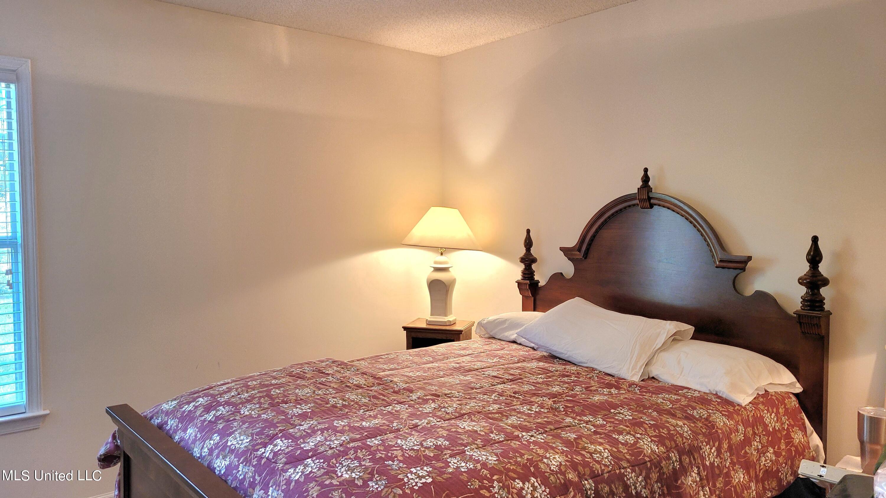 4367 Star Landing Road Nesbit, MS 38651 - Photo 25 of 40 20240412_102201
