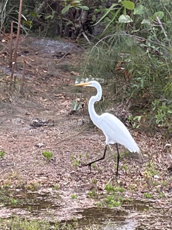 4300 Riverside Drive, Unit 109 Punta Gorda, FL 33982 - Photo 25 of 29 Gallery Image 25