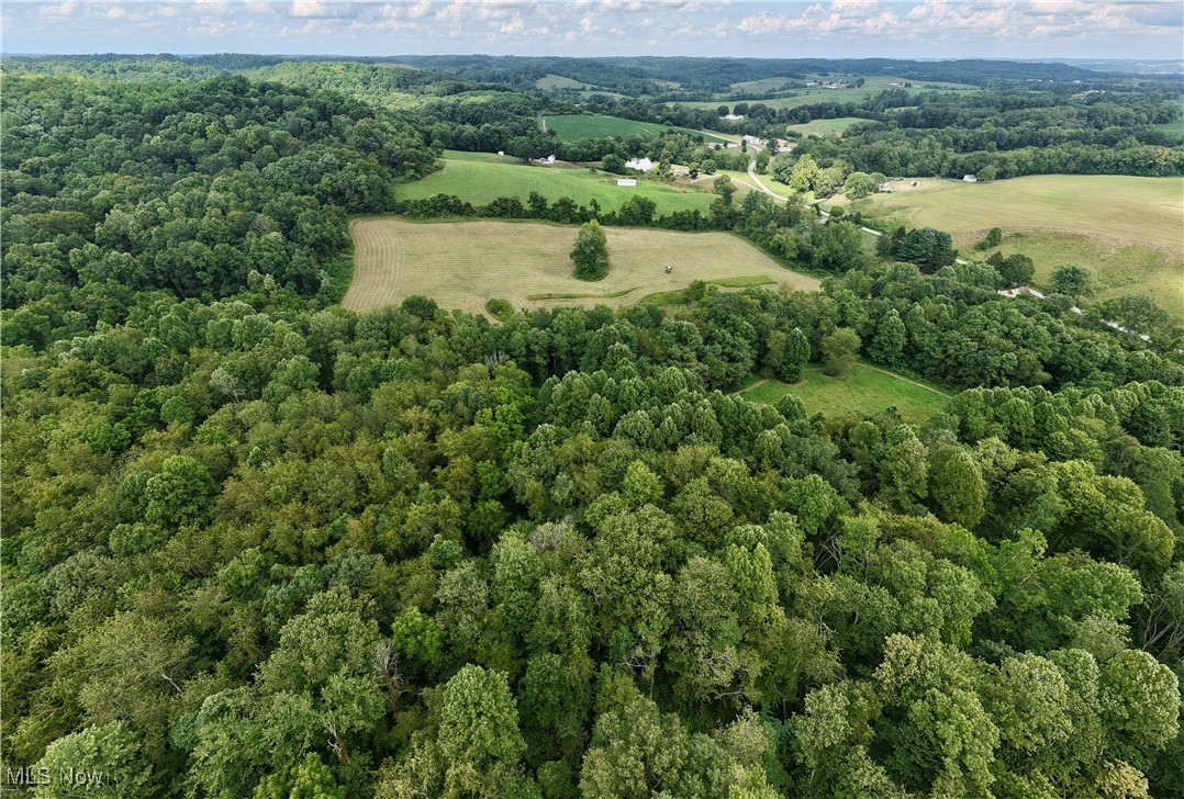 294 County Road Conesville, OH 43811 - Photo 18 of 39 View of property location with a forest