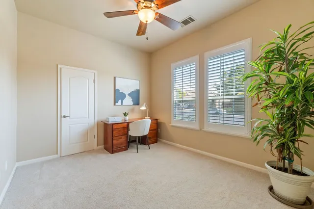a living room with furniture and a potted plant
